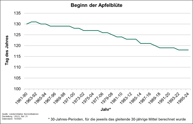 Beginn der Apfelblüte