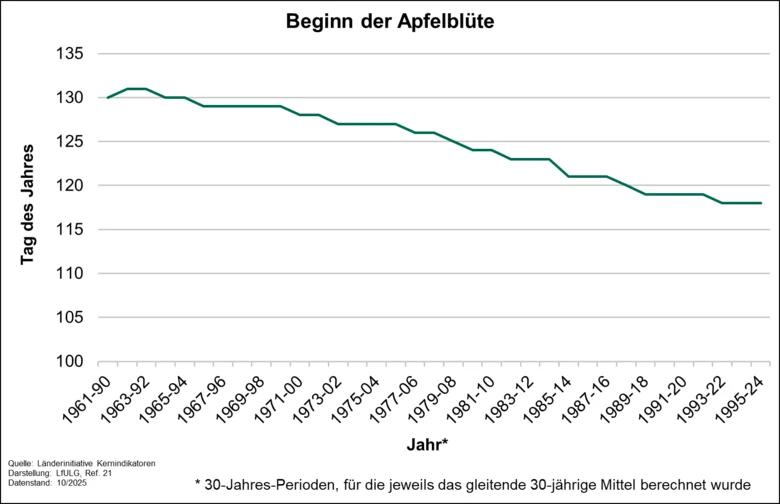 Beginn der Apfelblüte