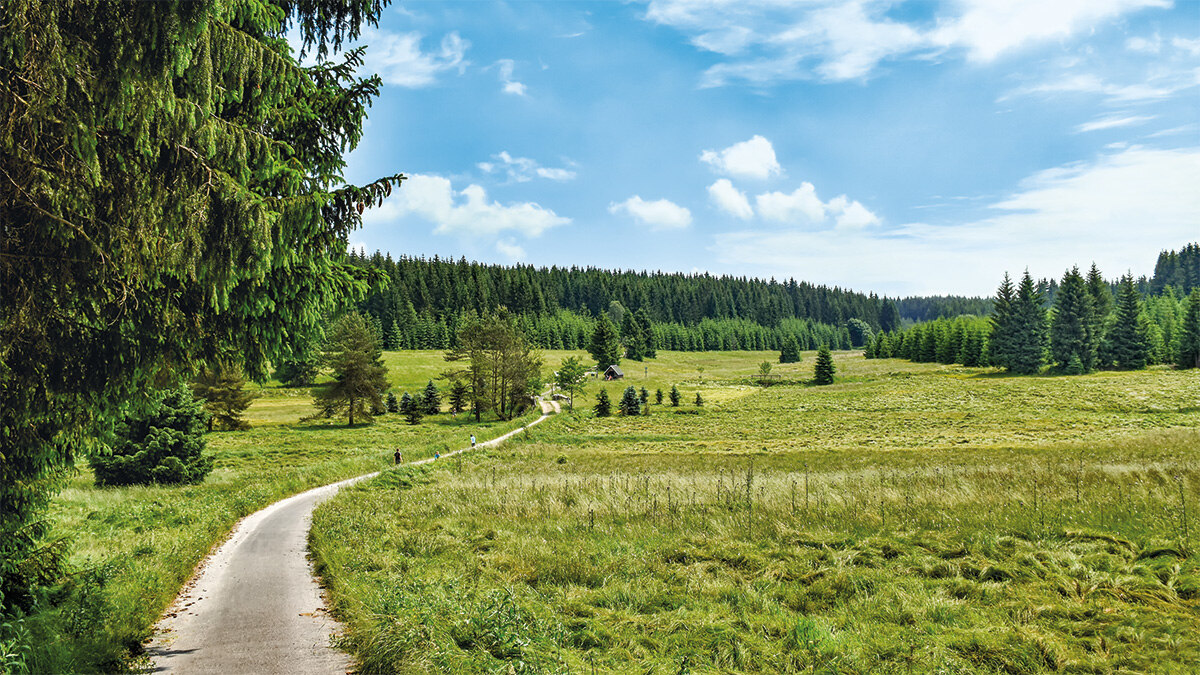 Schwarzwassertal im Erzgebirge - weite Landschaft mit Wiese, einem Weg und Bäumen am Rand